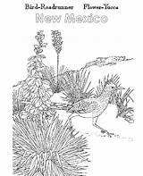 Mexico Yucca Flower State Atozkidsstuff sketch template