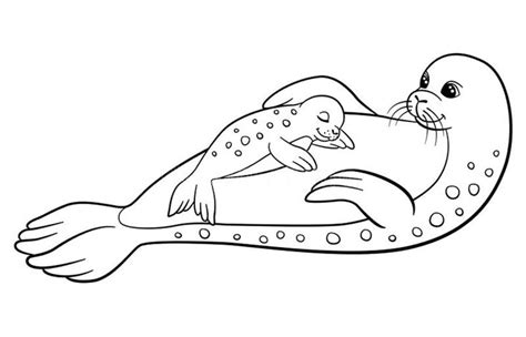 baby seal coloring page lets coloring