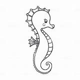 Seahorse Drawing Outline Cute Horse Easy Drawings Draw Realistic Fish Paintingvalley Drawin Getdrawings sketch template