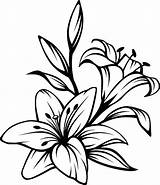 Easter Lily Drawing Clipart Clipartmag sketch template