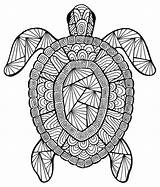 Coloring Complex Pages Turtle Animals sketch template