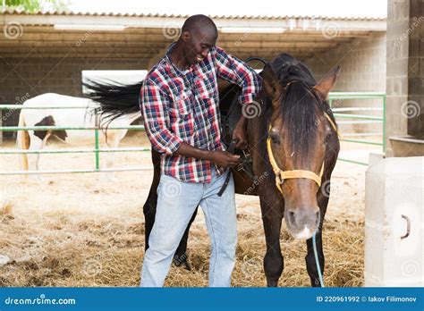 male african american farmer removes saddle  horse  stable stock