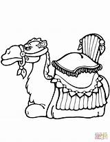 Camel Camelo Camels Entitlementtrap Colorironline sketch template