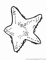 Sea Star Coloring Fish Animal Drawing Getcolorings Getdrawings sketch template