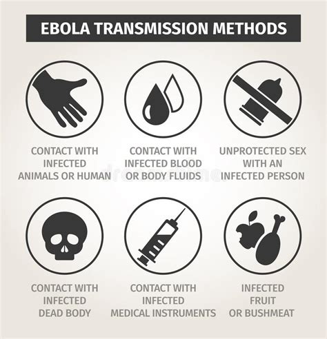 Set Icons Ebola Virus Ways Of Transmission Stock Vector Illustration