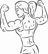Femminile Flexer Bodybuilder Illustrazioni Braccio Isolato Uomo Distintivo sketch template