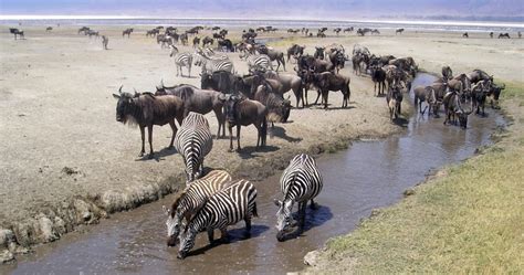 serengeti national park southern africa development