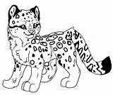 Leopard Coloring Baby Pages Snow Leopards Ocelot Printable Drawing Cute Cartoon Amur Ausmalbilder Color Print Getcolorings Getdrawings Designlooter Coloringbay Choose sketch template