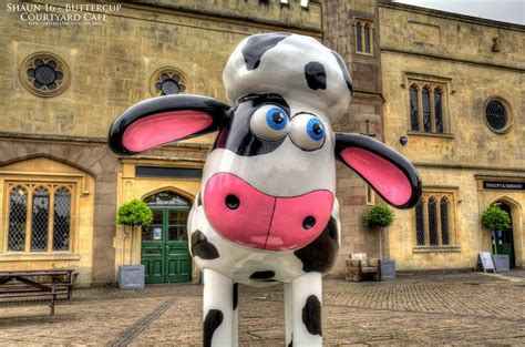 shaun 16 `buttercup with images aardman animations shaun the sheep photo