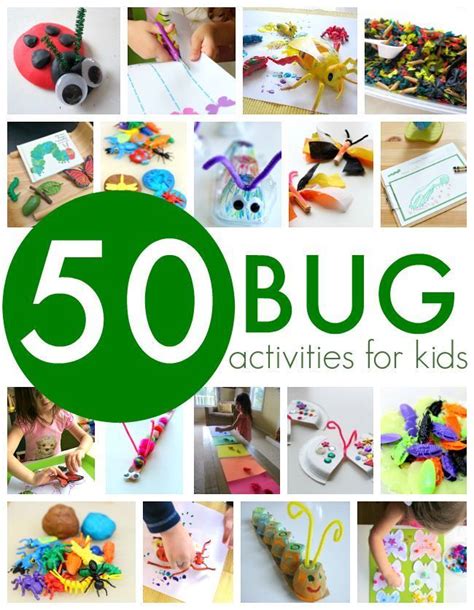 bug activities  kids bug activities insect activities