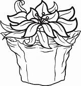 Poinsettia Coloring Printable Kids Pages Christmas Click Flower Sheets Choose Board sketch template