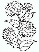 Flower Zinnia Coloring Pages Getcolorings Bushy Dahlia Printable Colouring Color sketch template