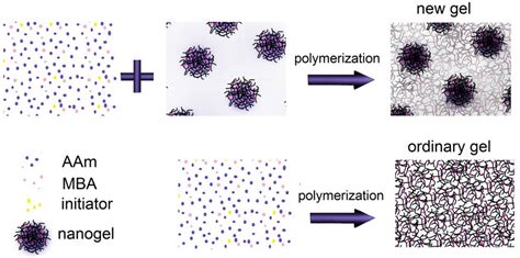 schematic illustration   gel  ordinary gel synthesis procedure