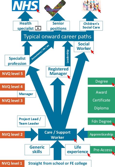 career path graphicmay oxfordshire association  care providers