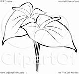 Anthurium Outline Flowers Clipart Coloring Illustration Two Mandela Nelson Royalty Rf Lal Perera Pages Getcolorings Background sketch template