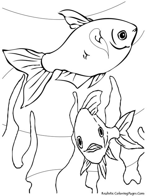 aquarium fish printable coloring sheet realistic coloring pages