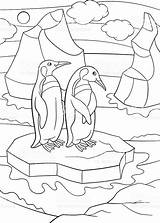 Coloring Pages Penguin Swimming Floe Penguins Designlooter Stand Ice Royalty Cute Little Two Template 1024px 31kb sketch template