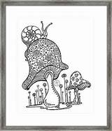 Megan Duncanson Drawing Mushroom Snail Coloring Beautiful Framed Print sketch template