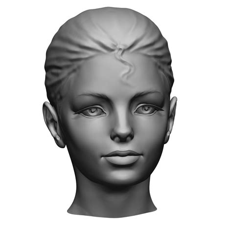 free zbrush woman head 3d model
