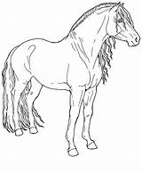 Para Caballos Horse Coloring Pages Drawings Imprimir Line Colorear Fino Paso Animal Horses Pintar Sketches Animals Dibujos Color Clipart Mustang sketch template