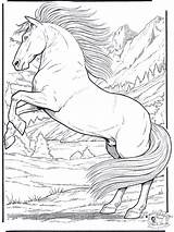Coloring Horse Realistic sketch template