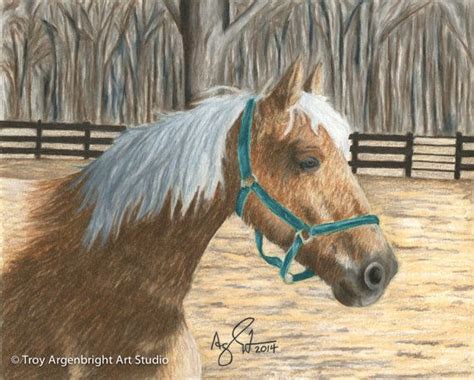 horse drawing colored pencil drawing  argenbrightartstudio colored