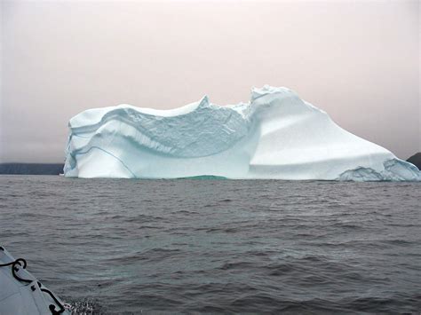 op zoek naar ijsbergen  newfoundland wetravel