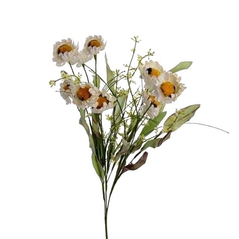 flowers png transparent images pictures  png arts