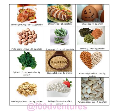 handy dandy  reference  protein rich foods foodventures