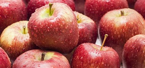rueyada kirmizi elma goermek ne anlama gelir bilgiself