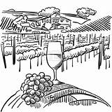 Rebe Collines Vigne Foreground Weinberg Croquis Fass Hebstreits Vines Trauben Verre Vignoble Vecteur Nagent Hügeln Vordergrund sketch template