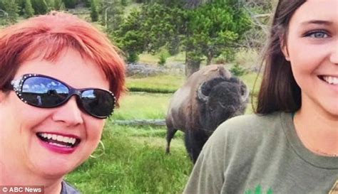 mississippi woman thrown into air by a bison while taking selfie at
