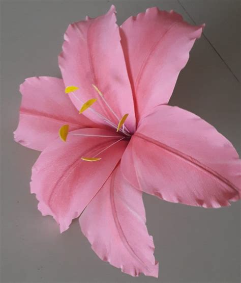 hibiscus paper flower  rs piece anandnagar bengaluru id