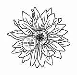 Sunflower Coloring Outline Pages Drawing Flower Template Sunflowers Book Kids Colouring Drawings Flowers Getdrawings Printables Sketch Wuppsy Adult sketch template