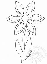 Flower Daisy Template Stem Coloring sketch template
