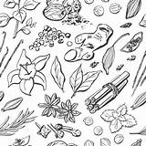 Herbs Repetitive Disegnati Spezie Modello Elementi Cuciture Vettore sketch template
