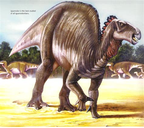iguanodon wiki prehistorico fandom powered  wikia
