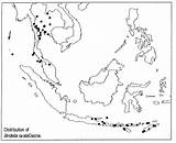 Map Coloring Indonesian Template Pages Indonesia sketch template