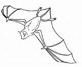 Flying Coloring Bats Upside Down Color sketch template