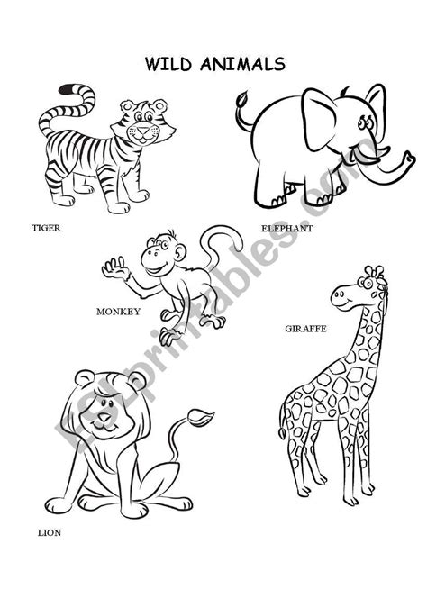 coloring animals worksheet gambar kata kata
