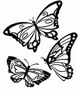 Butterflies sketch template