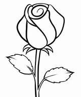 Mawar Bunga Sketsa Mudah Sederhana Digambar sketch template