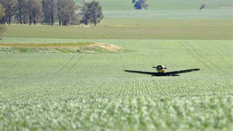 war plane  emergency landing  marrar wheat crop
