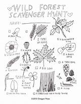Scavenger Hunt Forest Getdrawings Drawing sketch template