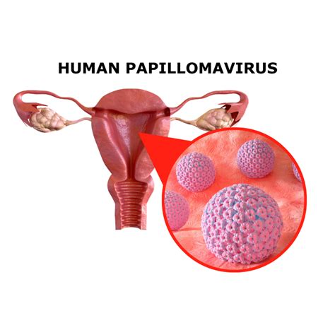 What Is The Difference Between Pap Smear Thin Prep And Hpv Testing