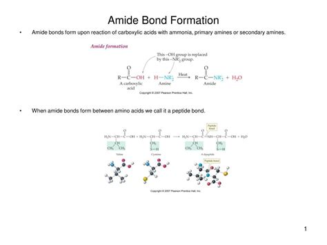 amide bond formation powerpoint    id