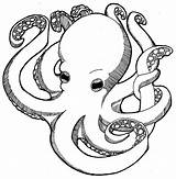 Octopus Cartoon Kids Clipart Coloring Drawing Library Printable Line sketch template