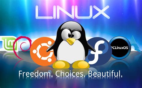 tech reviewer linux   domination