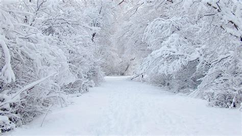 winter wonderland pictures