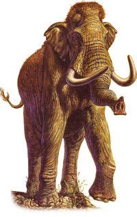 mammoths mammoth prehistoric animals prehistoric world